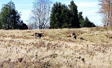 EN Venta Maravillosas Parcelas cercanas a Villarricacon luz, agua muy buen camino