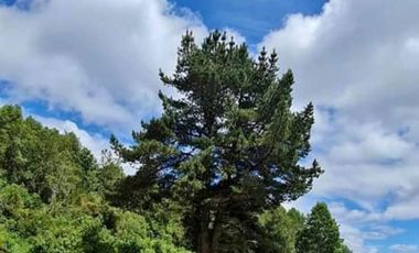 EN Venta Maravillosas Parcelas cercanas a Villarricacon luz, agua muy buen camino