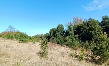 EN Venta Maravillosas Parcelas cercanas a Villarricacon luz, agua muy buen camino