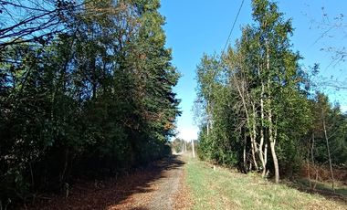 EN Venta Maravillosas Parcelas cercanas a Villarricacon luz, agua muy buen camino