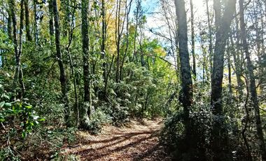 EN Venta Maravillosas Parcelas cercanas a Villarricacon luz, agua muy buen camino