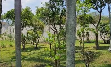 JUAL TANAH SUPER LUAS BONUS RUMAH SEPERTI VILLA – MAINROAD CIBABAT CIMAHI KOTA JAWA BARAT