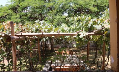 Fundo - Casa de campo en Caltopa - Cañete (camino a Lunahuaná)