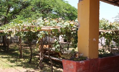 Fundo - Casa de campo en Caltopa - Cañete (camino a Lunahuaná)