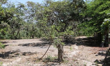 Fundo - Casa de campo en Caltopa - Cañete (camino a Lunahuaná)
