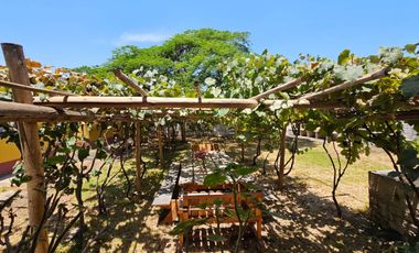 Fundo - Casa de campo en Caltopa - Cañete (camino a Lunahuaná)