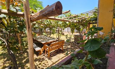 Fundo - Casa de campo en Caltopa - Cañete (camino a Lunahuaná)