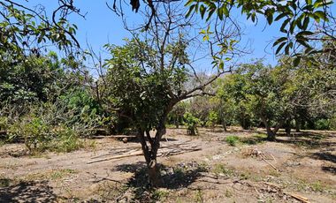 Fundo - Casa de campo en Caltopa - Cañete (camino a Lunahuaná)