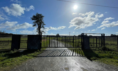 TITULO: VENTA DE TERRENO DE 5000M2, TRAFÚN