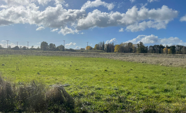 TITULO: VENTA DE TERRENO DE 5000M2, TRAFÚN