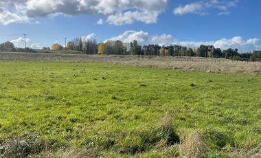 TITULO: VENTA DE TERRENO DE 5000M2, TRAFÚN