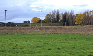 TITULO: VENTA DE TERRENO DE 5000M2, TRAFÚN