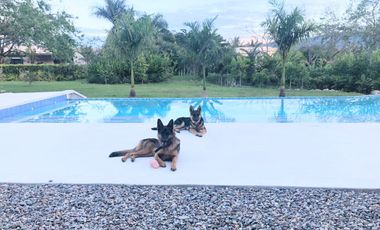 IBAGUÉ- ESPECTACULAR CASA