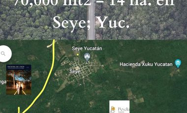 Venta de terreno de 70,000 m2 en Seye Yucatán