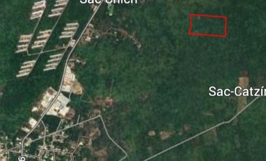 Venta de terreno de 70,000 m2 en Seye Yucatán