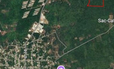 Venta de terreno de 70,000 m2 en Seye Yucatán