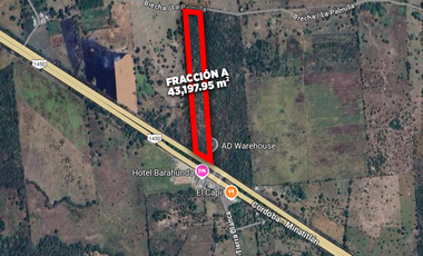 HECTÁREAS EN VENTA CARRETERA LA TINAJA SAYULA | ARLETTE FLORES