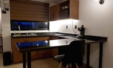 DEPARTAMENTO AMUEBLADO TIPO LOFT EN RENTA EN HUEXOTITLA