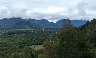 CAMPO 60 HA PLAYA EL ARENAL, LAGO RANCO