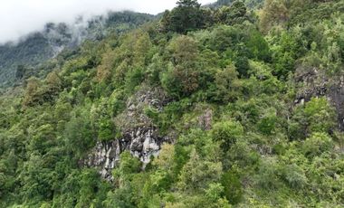 CAMPO 60 HA PLAYA EL ARENAL, LAGO RANCO