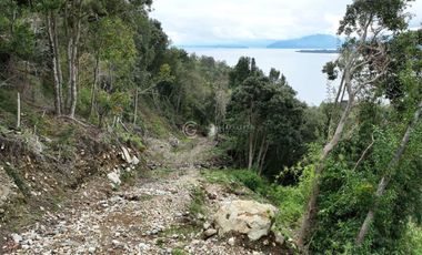 CAMPO 60 HA PLAYA EL ARENAL, LAGO RANCO