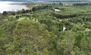 CAMPO 60 HA PLAYA EL ARENAL, LAGO RANCO