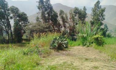 VENTA DE TERRENO EN SANTA EULALIA, PALLE