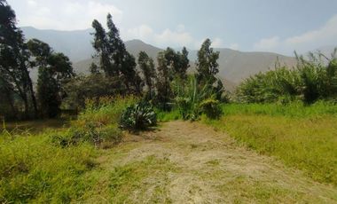 VENTA DE TERRENO EN SANTA EULALIA, PALLE