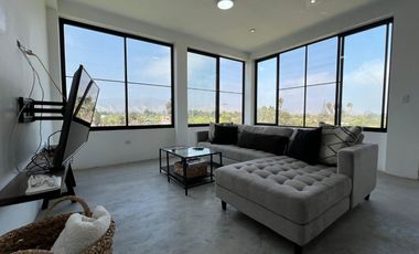 𝗦𝗔𝗡 𝗔𝗡𝗧𝗢𝗡𝗜𝗢: 𝗔𝗠𝗣𝗟𝗜𝗔 𝗖𝗔𝗦𝗔 𝗗𝗘 𝗖𝗔𝗠𝗣𝗢 𝗘𝗡 𝗩𝗘𝗡𝗧𝗔