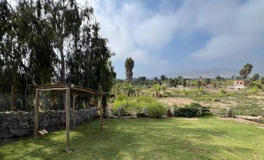 𝗦𝗔𝗡 𝗔𝗡𝗧𝗢𝗡𝗜𝗢: 𝗔𝗠𝗣𝗟𝗜𝗔 𝗖𝗔𝗦𝗔 𝗗𝗘 𝗖𝗔𝗠𝗣𝗢 𝗘𝗡 𝗩𝗘𝗡𝗧𝗔