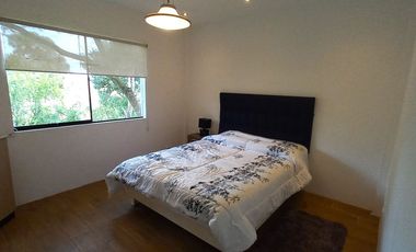 SE ALQUILA LINDA CASITA CON AMPLIO JARDÍN EN PACHACAMAC