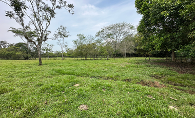 Terreno en la vereda el Cairo, sector de alta valorización