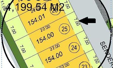 TERRENO EN VENTA SENDEROS MONTEVERDE LOTE 25 COTO 6A