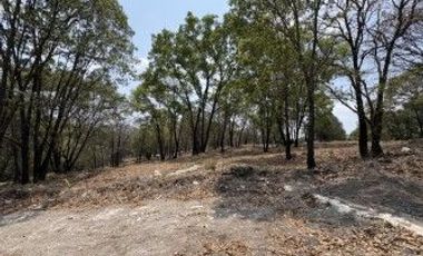Lotes en venta en Haras del Bosque, Ciudad Ecológica Puebla