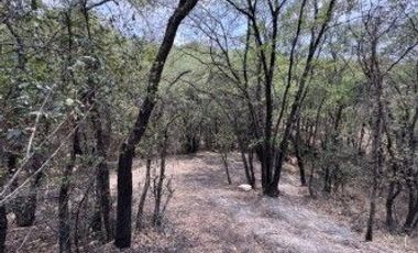 Lotes en venta en Haras del Bosque, Ciudad Ecológica Puebla