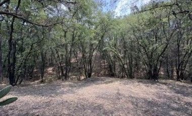Lotes en venta en Haras del Bosque, Ciudad Ecológica Puebla