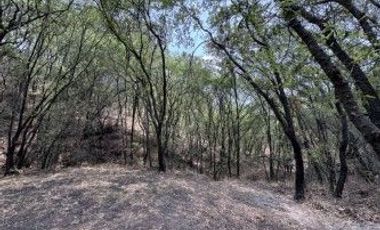 Lotes en venta en Haras del Bosque, Ciudad Ecológica Puebla