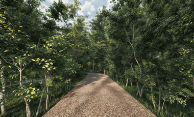 Lotes en venta en Haras del Bosque, Ciudad Ecológica Puebla