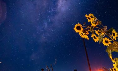 Se vende casa de campo en parcela con piscina, tinaja y gran equipamiento.