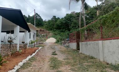 APARTMENT UNIT FOR SALE IN SAN JUAN SIQUIJOR SIQ0161
