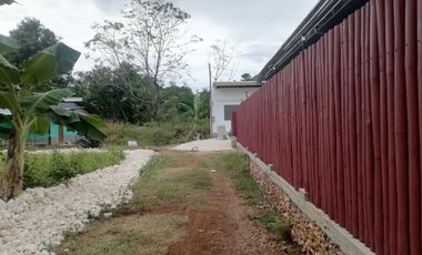 APARTMENT UNIT FOR SALE IN SAN JUAN SIQUIJOR SIQ0161
