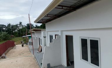 APARTMENT UNIT FOR SALE IN SAN JUAN SIQUIJOR SIQ0161