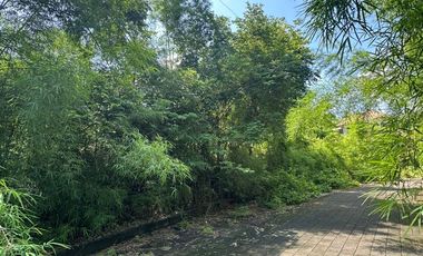 PREMIUM LAND AREA 342 m2 AND 470 m2 VILLA AREA IN TAMAN MUMBUL - NUSA DUA - BALI
