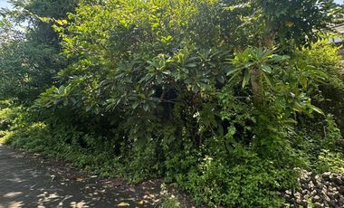 PREMIUM LAND AREA 342 m2 AND 470 m2 VILLA AREA IN TAMAN MUMBUL - NUSA DUA - BALI