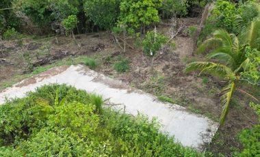 Affordable Resi-Farm in Medez Cavite