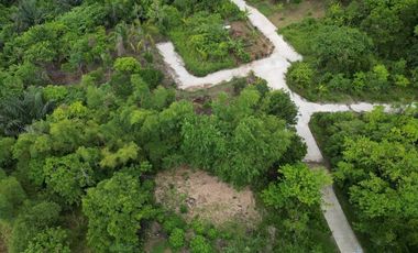 Affordable Resi-Farm in Medez Cavite