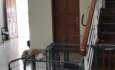 SEWA dan JUAL Rumah 2 Lt, Strategis, Dekat Mal Kelapa Gading