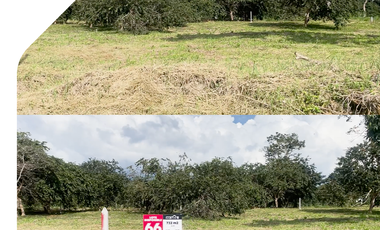 Terreno en Sucúa, Morona Santiago, Barrio Amazonas, Financiamiento Directo
