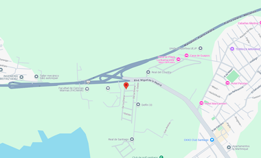 Inversión Segura y Rentable en Bienes Raíces.