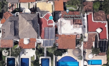 FLAMINGOS, PTO VALLARTA